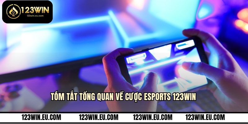 Tóm tắt tổng quan về cược esports 123WIN
