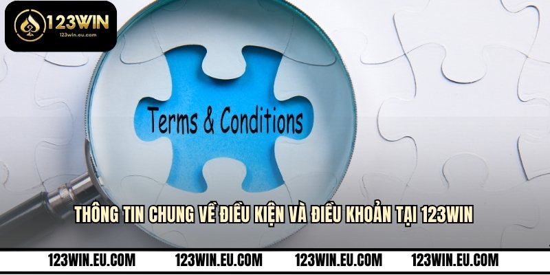 Thông tin chung về điều kiện và điều khoản tại 123WIN