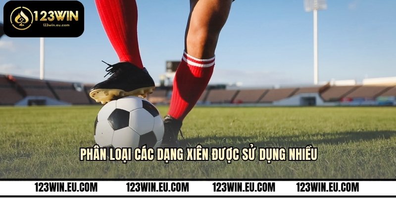 Phân loại các dạng xiên được sử dụng nhiều