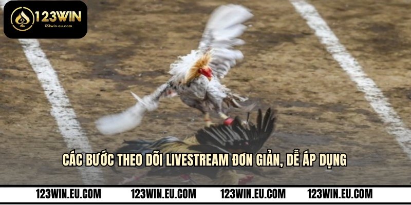 Các bước theo dõi livestream đơn giản, dễ áp dụng