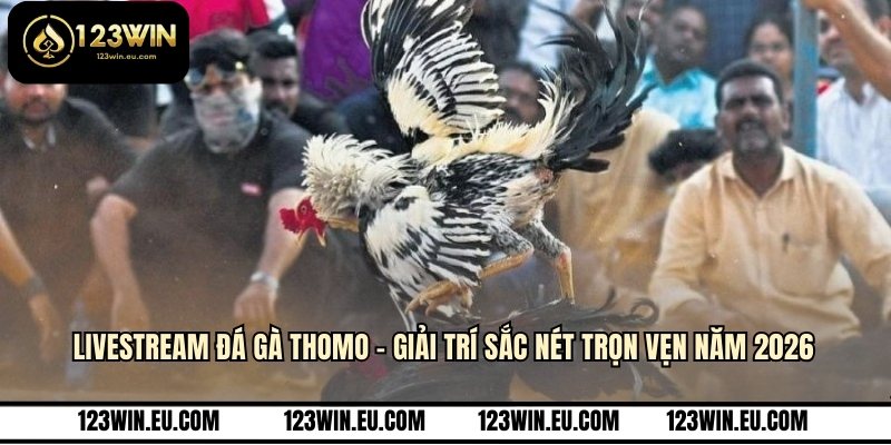Livestream đá gà Thomo